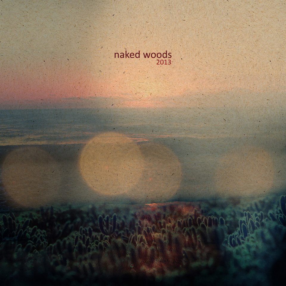 nakedwoods-albumcover.jpg